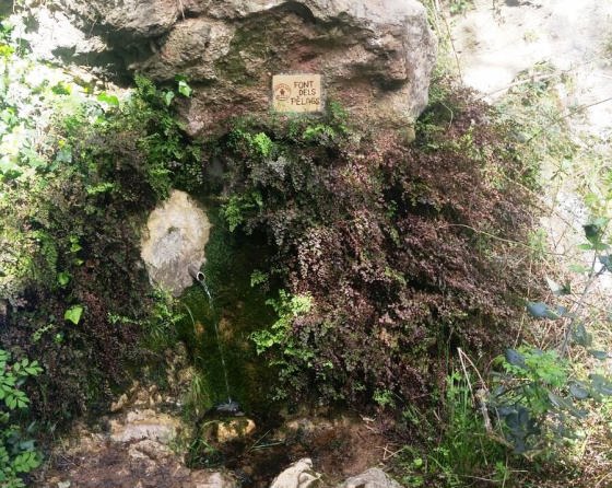 IMG-20160417-WA0000a_01