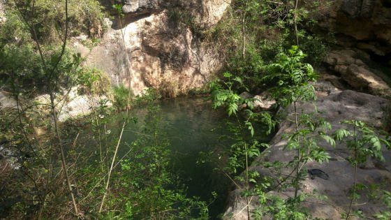 IMG-20160417-WA0001_01