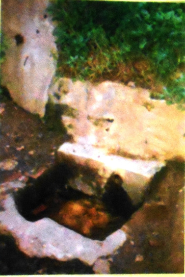 Com era l'antifa Font del Pi- a finals de la dècada dels anys 80 - Arxiu RASOLA