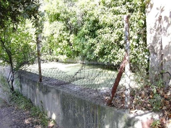 Bassa - Caldes de Montbui_01