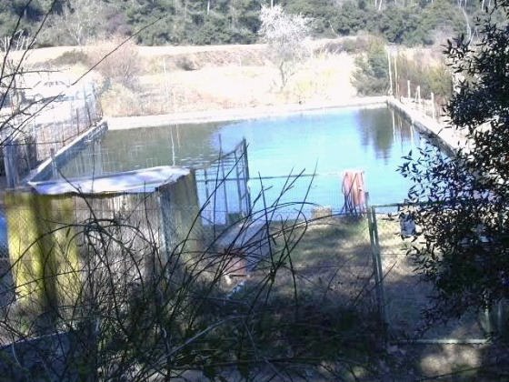 Bassa de Can Borrell_01