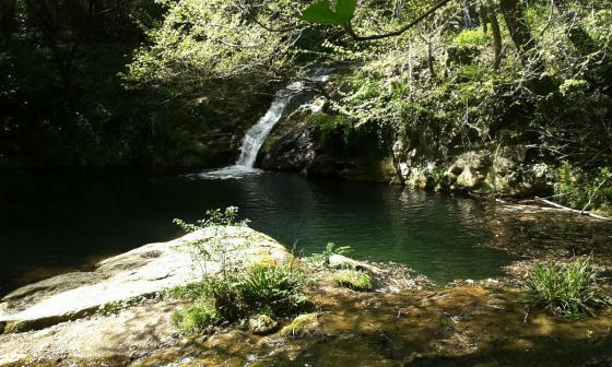 IMG-20160417-WA0001_01_01