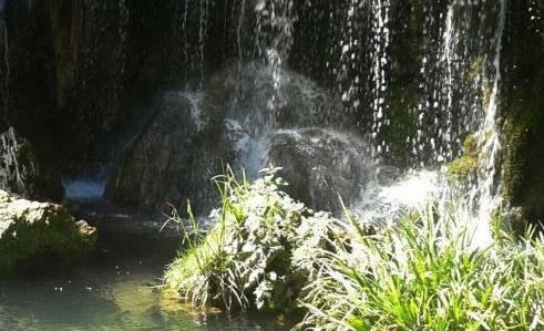 IMG-20160417-WA0003_01_01