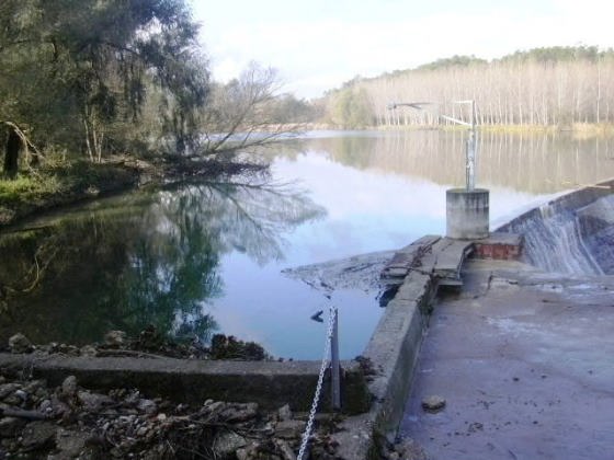 Vista parcial des del Mur_01