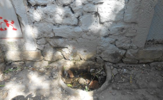 Font actual, no surt aigua, la mina esta seca. Any 2016