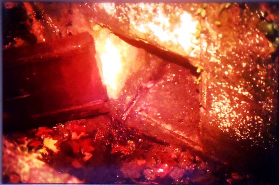 Any 1988 - Arxiu Fotogràfic RASOLA