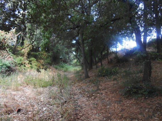 Torrent de Can Xirau