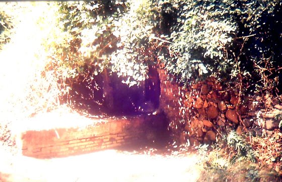 Fotografia any 1988 - Arxiu RASOLA