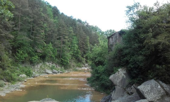 IMG-20160529-WA0002_01