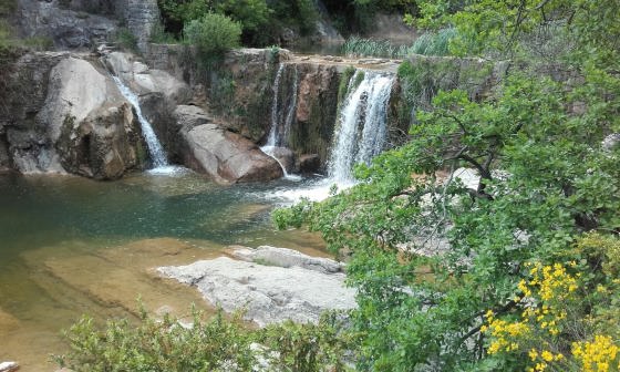 IMG-20160529-WA0003_01