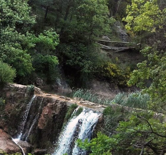 IMG-20160529-WA0004_01