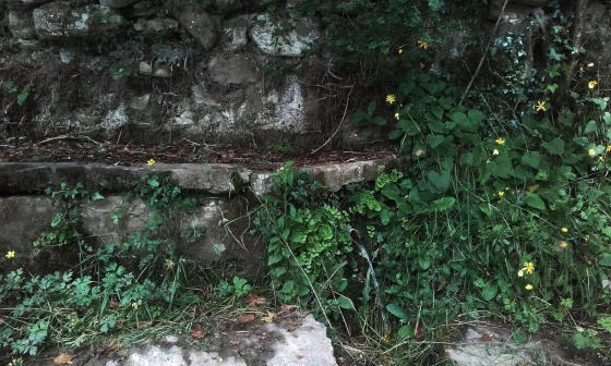 IMG-20160619-WA0010_01