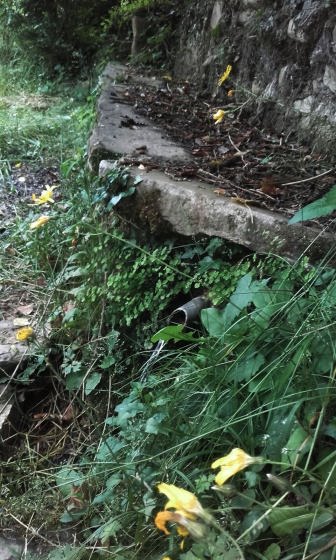 IMG-20160619-WA0012_01