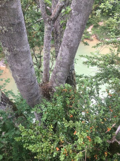 IMG-20160626-WA0000_01