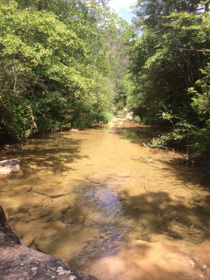 IMG-20160626-WA0004_01