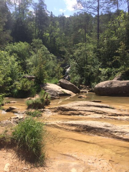 IMG-20160626-WA0006_01