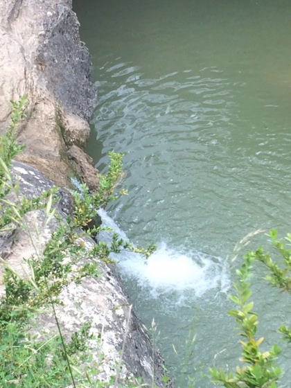 IMG-20160626-WA0008_01