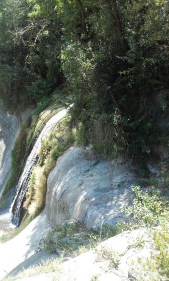 IMG-20160703-WA0004_01