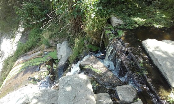 IMG-20160703-WA0005_01