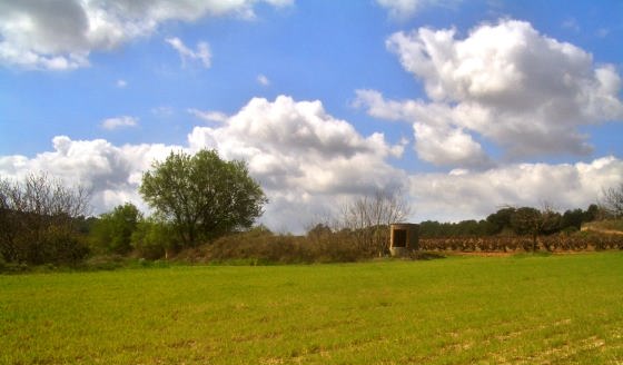 Pou Mas Casas Blanques- L'Arboçar de Dalt_01