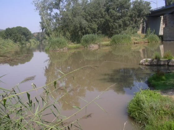 Aiguabarreig rius Cardener i Llobregat