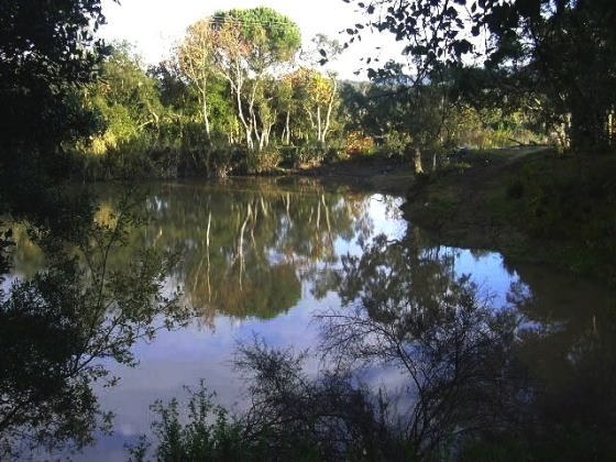 Vista parcial 1_01_01