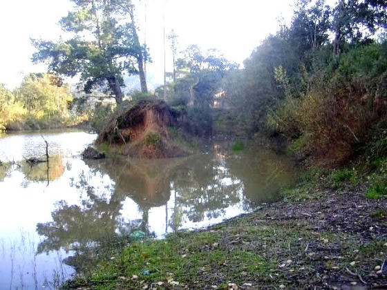 Vista parcial i Illa_01