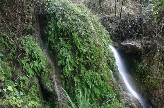 caldes-salt-gorg-pelags_01