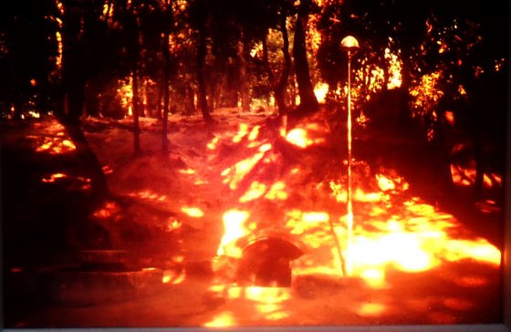 Any 1989 - Arxiu Rasola