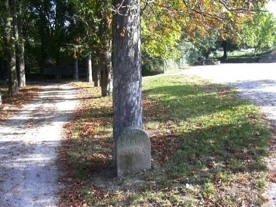 Ft El Sors i Cami Casa_01