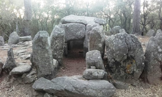 IMG-20160724-WA0013_01