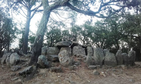 IMG-20160724-WA0019_01