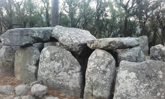 IMG-20160724-WA0021_01