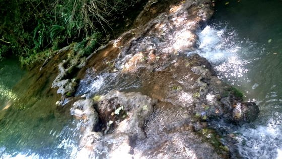 IMG-20160730-WA0002_01