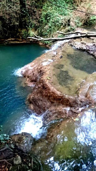 IMG-20160730-WA0007_01