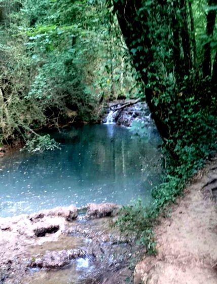 IMG-20160730-WA0008_01