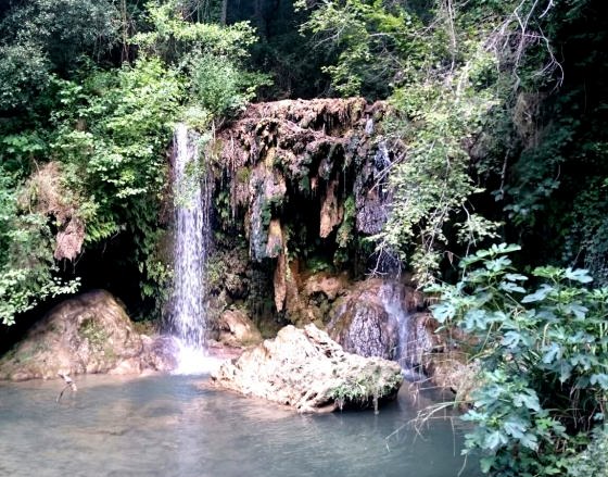 IMG-20160730-WA0009_01