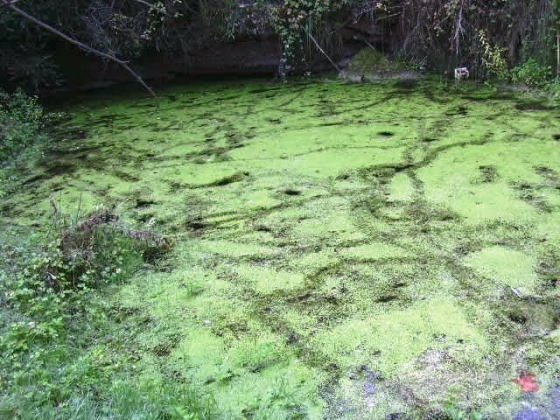 Reclosa Riera Cussons_01