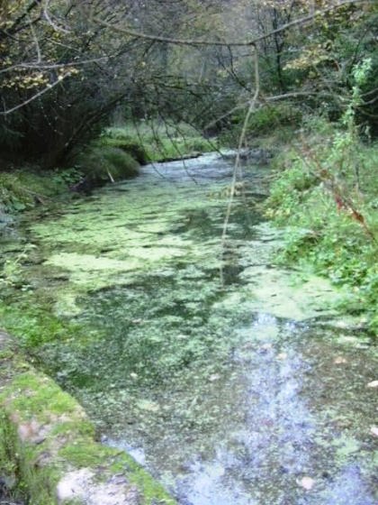 Resclosa Riera Cussons 5_01