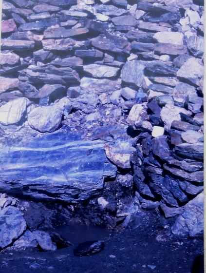 Fotografia de l'any 1989 - Arxiu Rasola