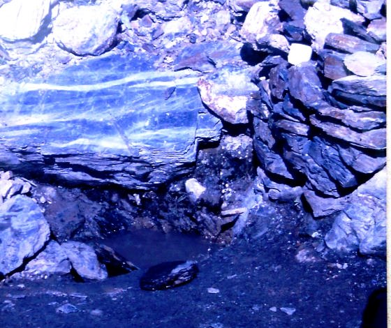 Fotografia de l'any 1989 - Arxiu Rasola