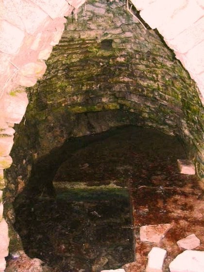 f-de-les-branques-1_01