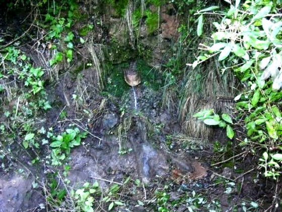 font-de-lalba-teula3_01_01