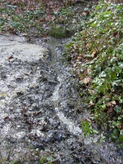 Fotografia any 1999 - Arxiu Rasola