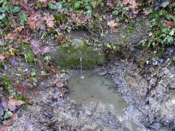 Fotografia de l'any 1999- Arxiu Rasola