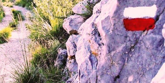 CREATOR: gd-jpeg v1.0 (using IJG JPEG v62), quality = 80