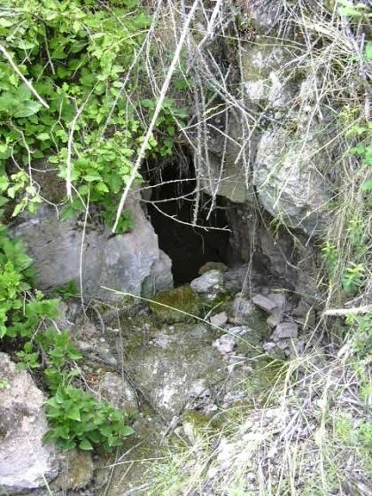 Sortida Mantidera de la carretera al Monastir des de Monistrol
