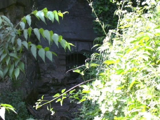 Sortida d'una Mantidera