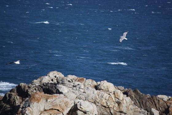 02012010-img_8313_01