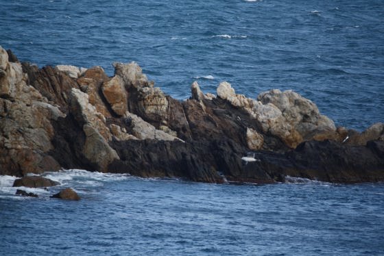 02012010-img_8323-2_01